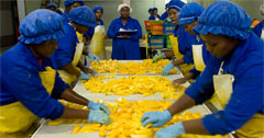 CAN THE AGROPROCESSING SECTOR CREATE JOBS IN AFRICA?